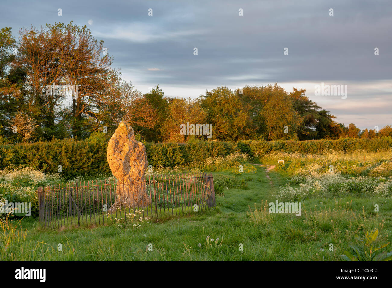 Le Rollright stones, le roi Pierre au lever du soleil, Oxfordshire, Angleterre Banque D'Images