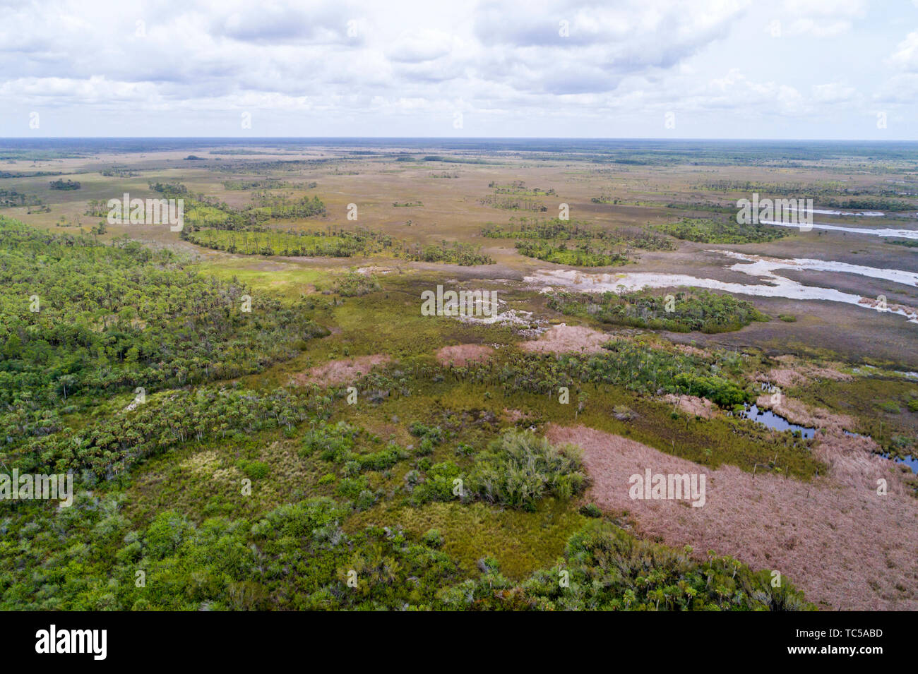 Naples Floride, Tamiami Trail route 41, Everglades, Fakahatchee Strand State Preserve, vue aérienne aérienne de l'oeil d'oiseau au-dessus, les visiteurs voyagent à tou Banque D'Images