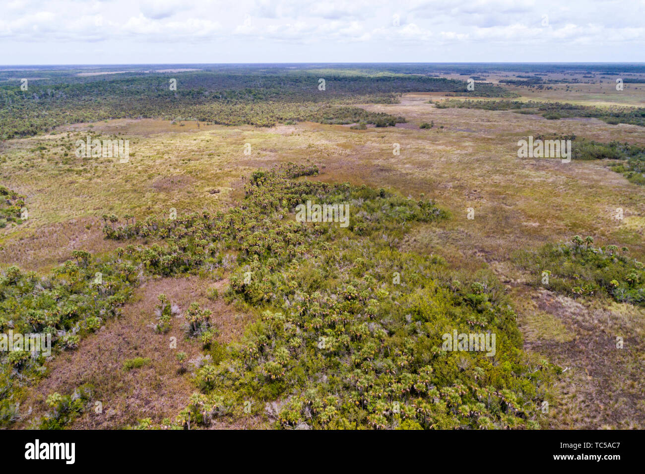 Naples Floride, Tamiami Trail route 41, Everglades, Fakahatchee Strand State Preserve, vue aérienne aérienne de l'oeil d'oiseau au-dessus, les visiteurs voyagent à tou Banque D'Images