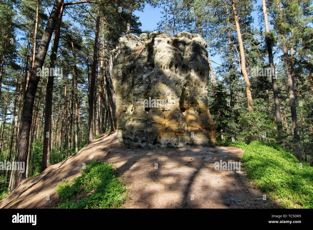 Tour séparé de grès dans la forme d'un prisme qui ressemble à un maillet est situé dans le monument naturel Theatre, Hamr na Jezere Banque D'Images