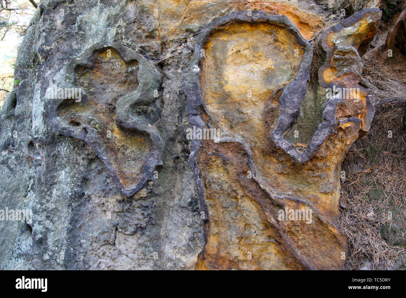 Formation géologique bizarre - journal de fer dans les roches de grès - bog le minerai de fer l'entartrage Banque D'Images