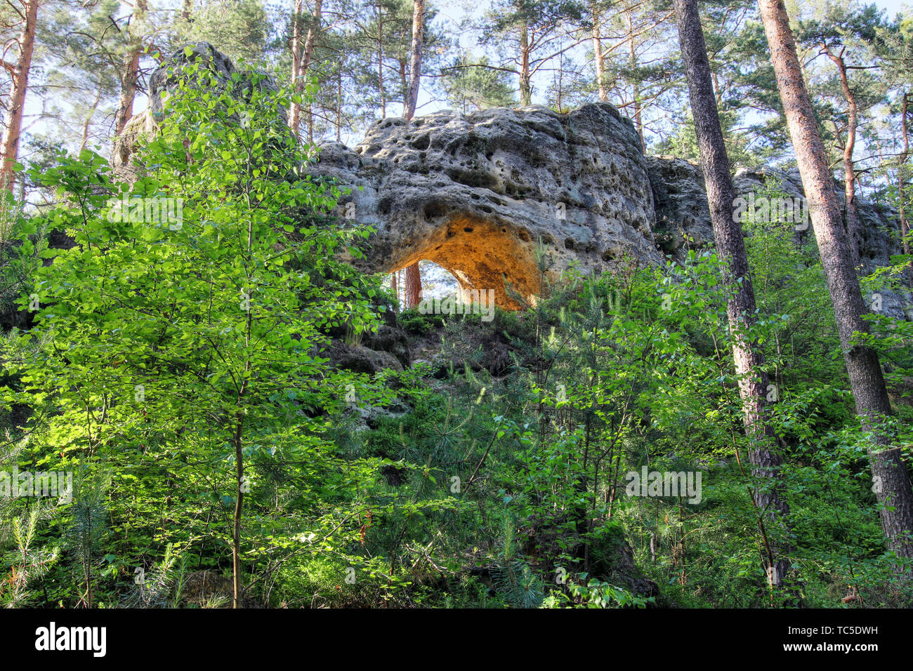 Rock gate est situé dans le monument naturel Theatre, Hamr na Jezere Ceska Lipa, district, région de Liberec Banque D'Images