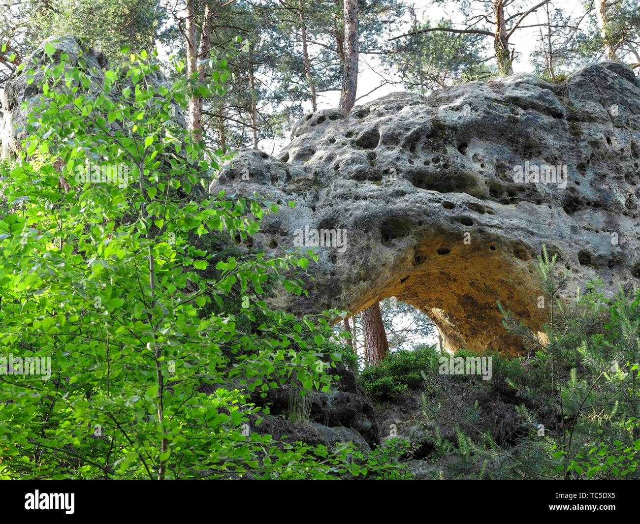 Rock gate est situé dans le monument naturel Theatre, Hamr na Jezere Ceska Lipa, district, région de Liberec Banque D'Images
