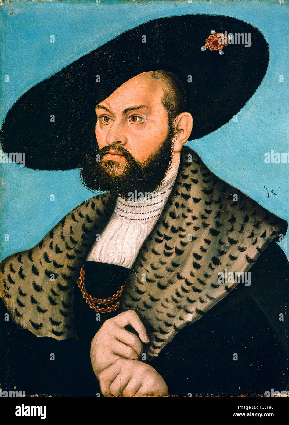 Lucas Cranach le Vieux, Albert, duc de Prusse, 1490-1568, portrait, 1528 Banque D'Images