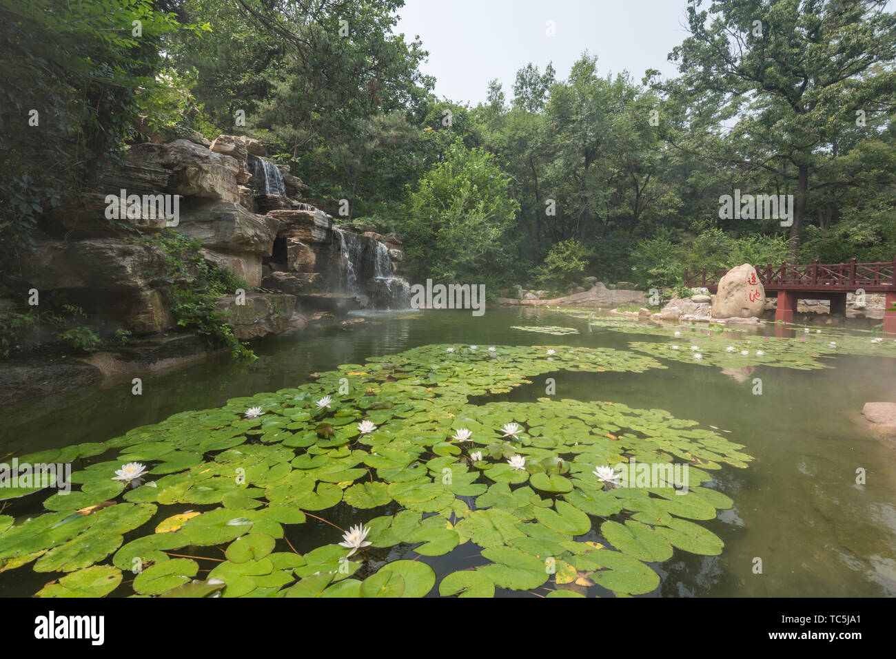 Étang de lotus Park woods rocaille ancien bâtiment Banque D'Images