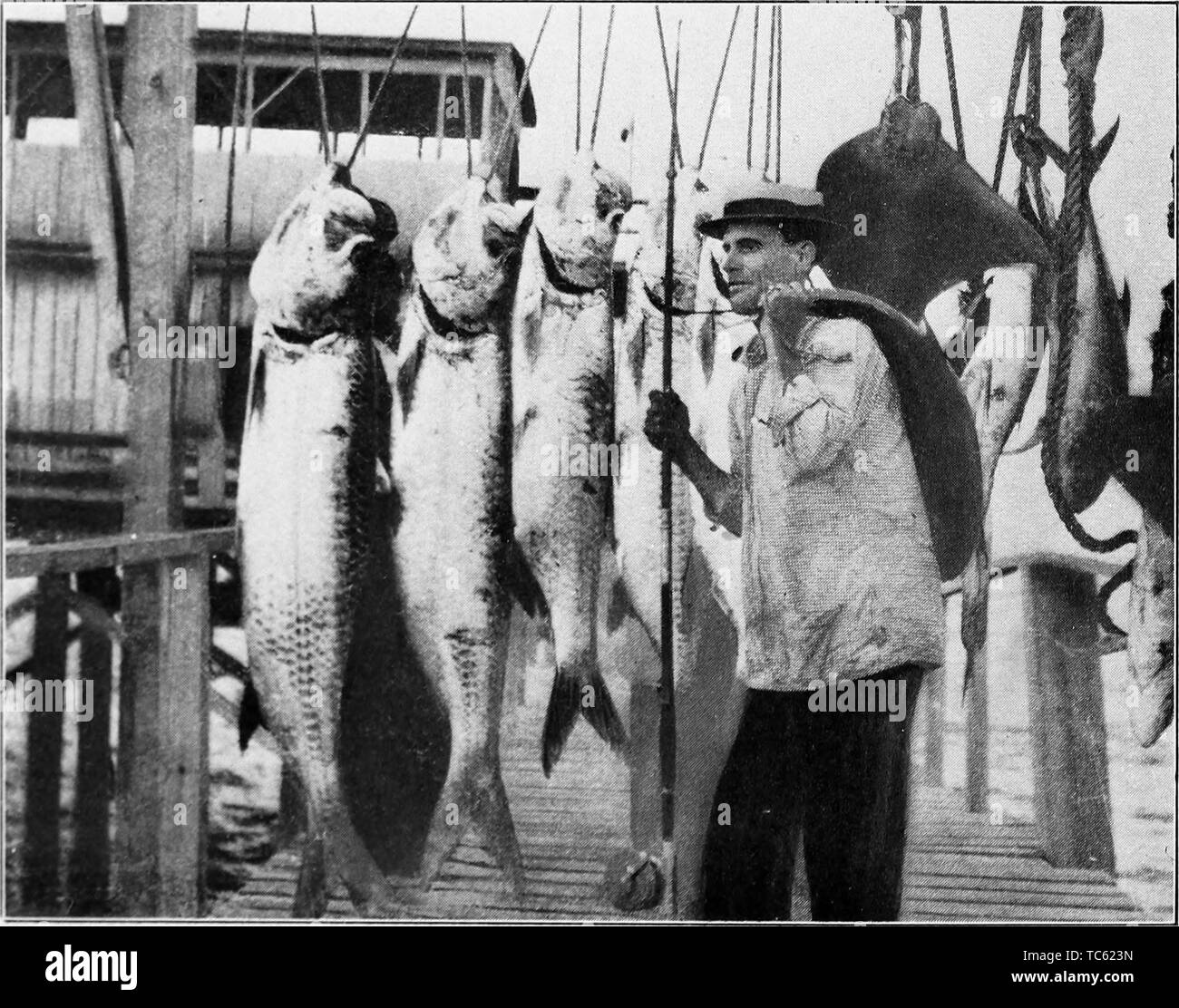 Photographie d'un pêcheur avec sa prise du jour des tarpons, Silver King du livre 'Book of Texas' par Harry Yandell Benoît et John A. Lomax, 1916. Avec la permission de Internet Archive. () Banque D'Images