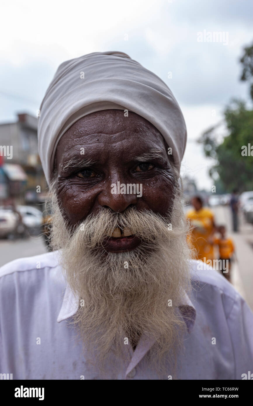 Barbe longue sikh Banque de photographies et d’images à haute