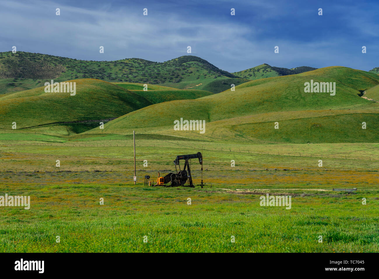 Les vertes collines de la gamme Temblor, près de Taft, California, USA. Banque D'Images