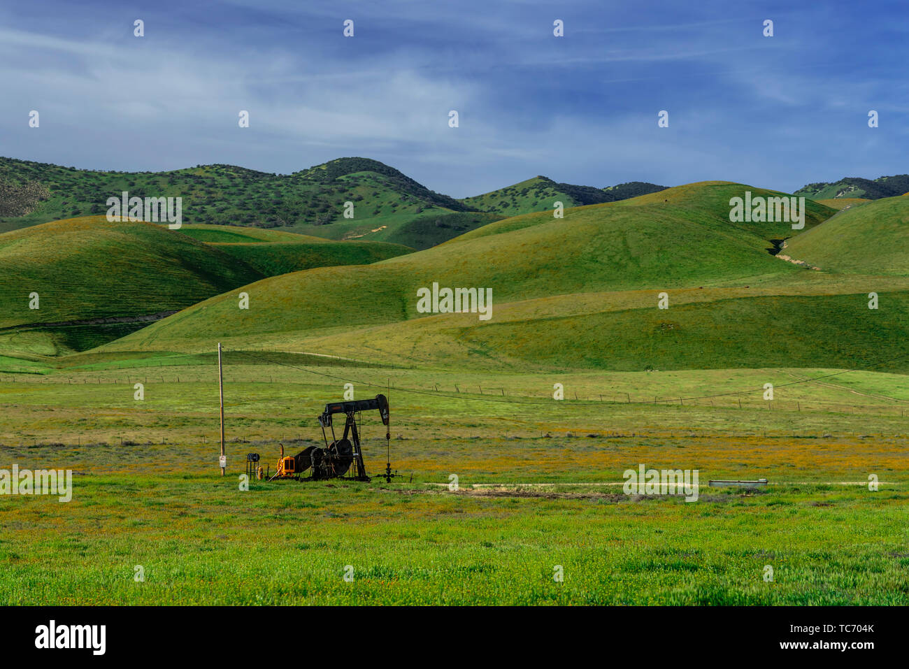 Les vertes collines de la gamme Temblor, près de Taft, California, USA. Banque D'Images