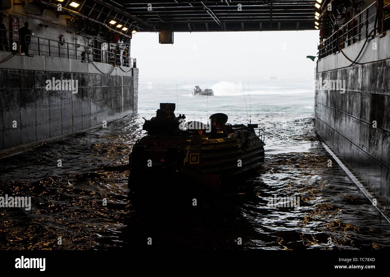 190603-N-DX072-1106 MER DES PHILIPPINES (3 juin 2019) Un assaut véhicule amphibie (AAV) affecté à la 31e Marine Expeditionary Unit (MEU) transits le pont du coffre du quai de transport amphibie USS Green Bay (LPD 20). Green Bay est en cours, la réalisation des opérations de routine dans le cadre du Wasp Groupe amphibie (ARG) dans la 7e flotte américaine zone d'opérations. (U.S. Photo par marine Spécialiste de la communication de masse 2e classe Anaid Banuelos Rodriguez) Banque D'Images