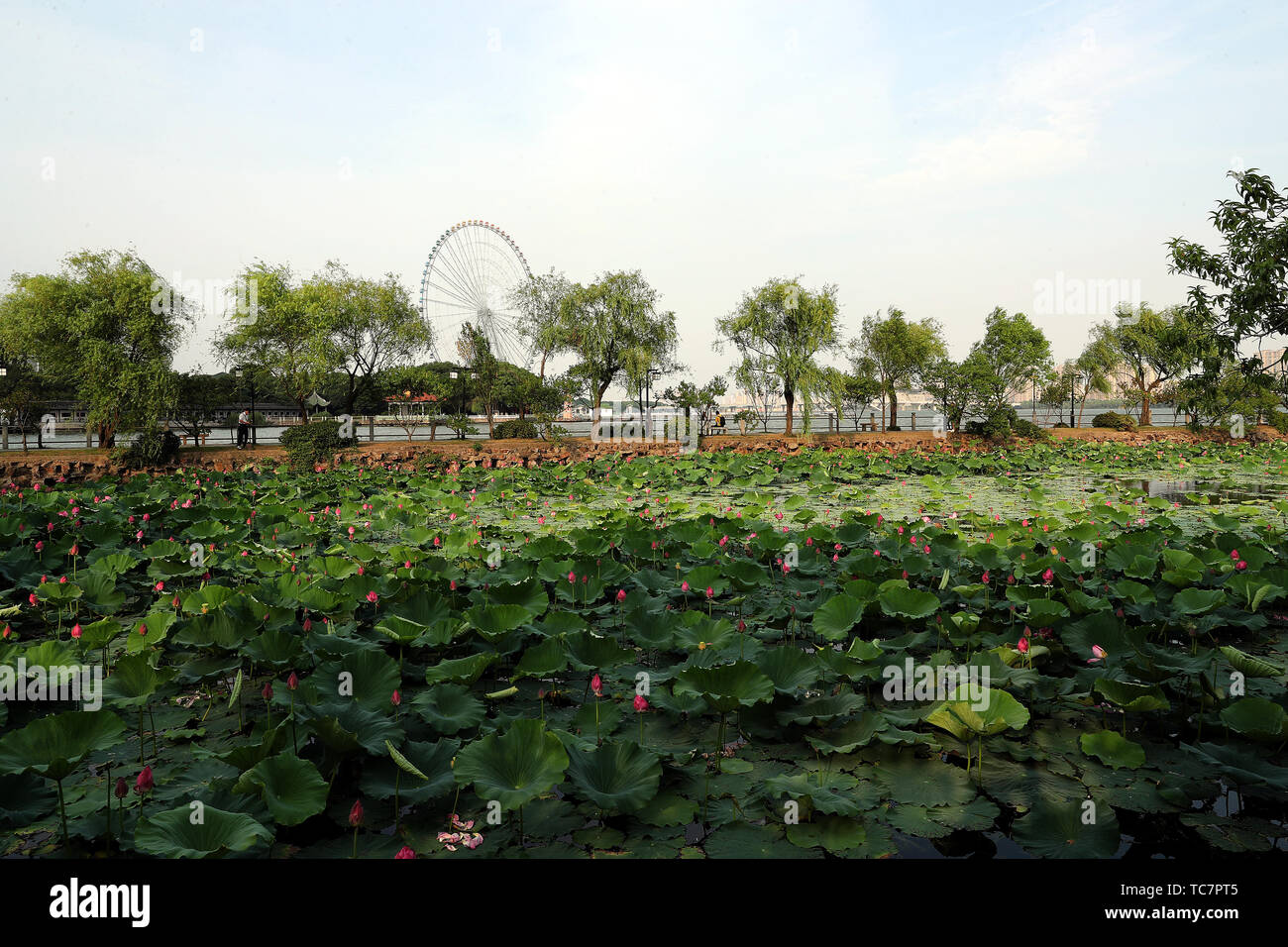 Décor de jardin Li, Wuxi, Jiangsu Province Banque D'Images