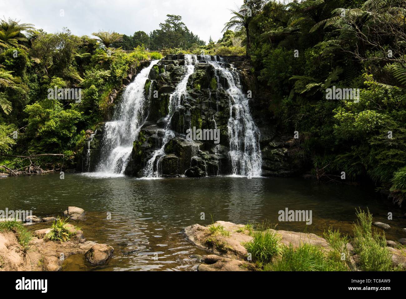 Owharoa Cascade, près du sentier, le vélo rail d'Hauraki chemin sur l'île  du nord en Nouvelle-Zélande Photo Stock - Alamy