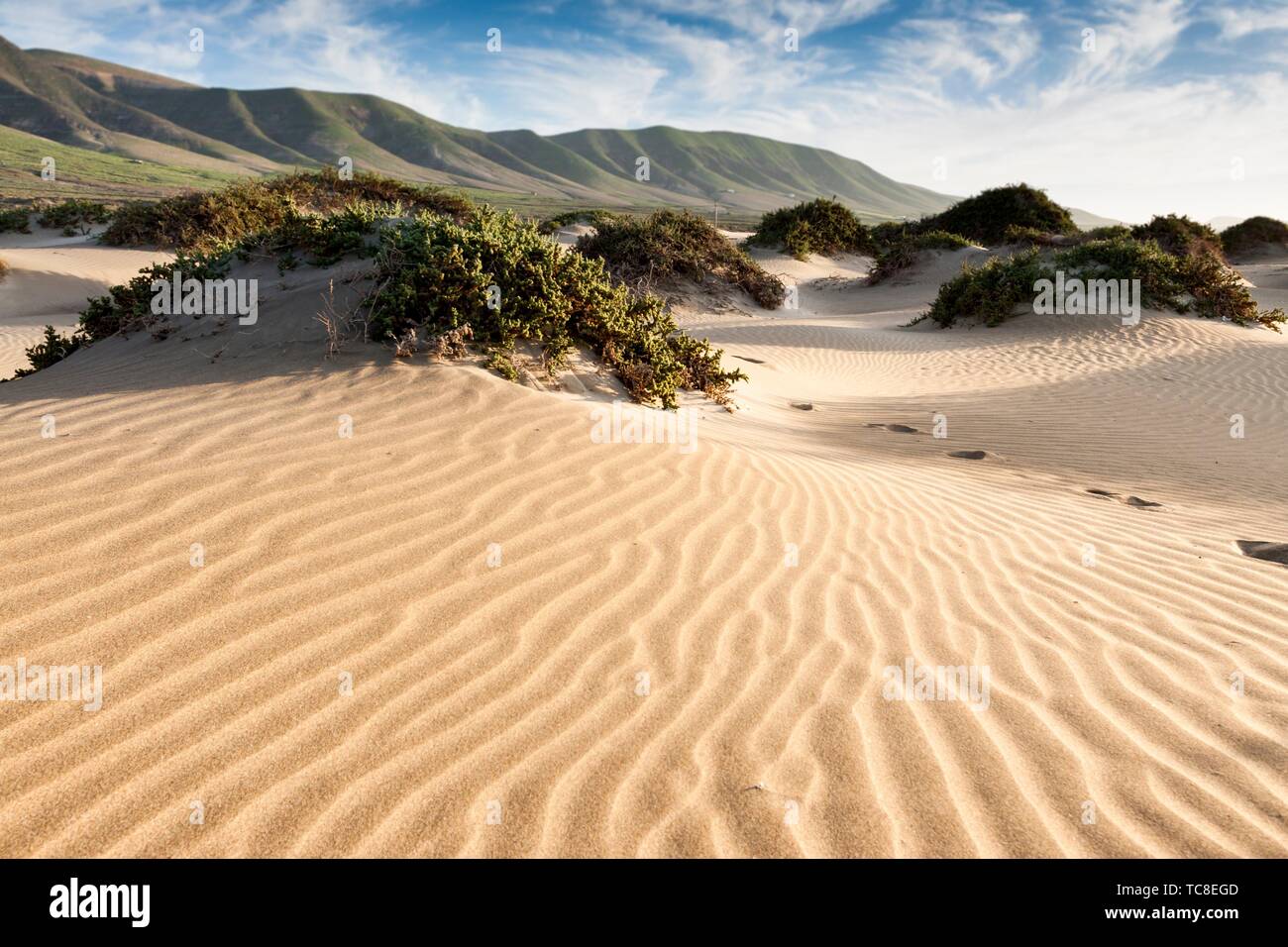 Dispose de dunes de sable de la baie. Famara, Lanzarote. L'Espagne. Banque D'Images