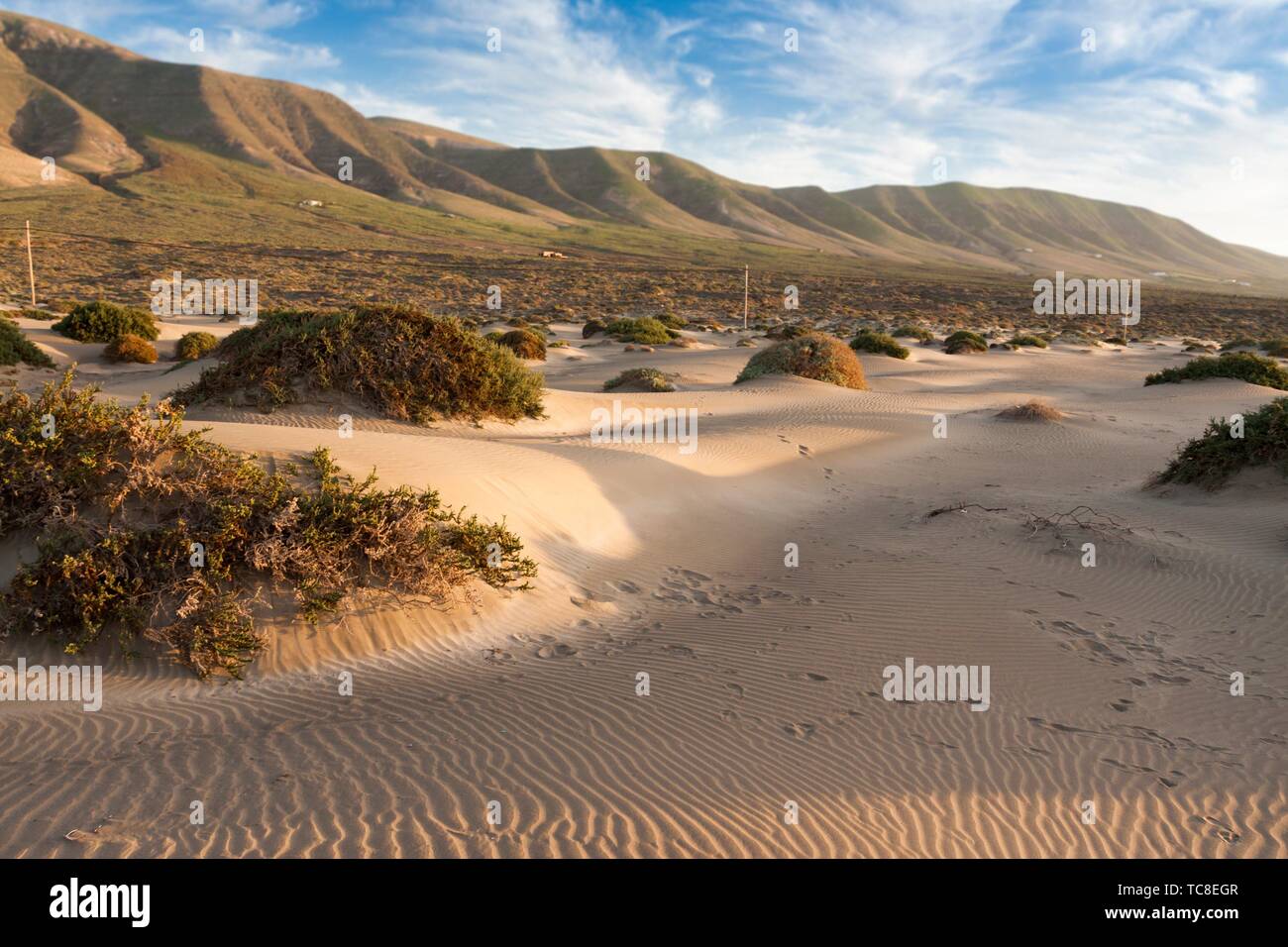 Dispose de dunes de sable de la baie. Famara, Lanzarote. L'Espagne. Banque D'Images