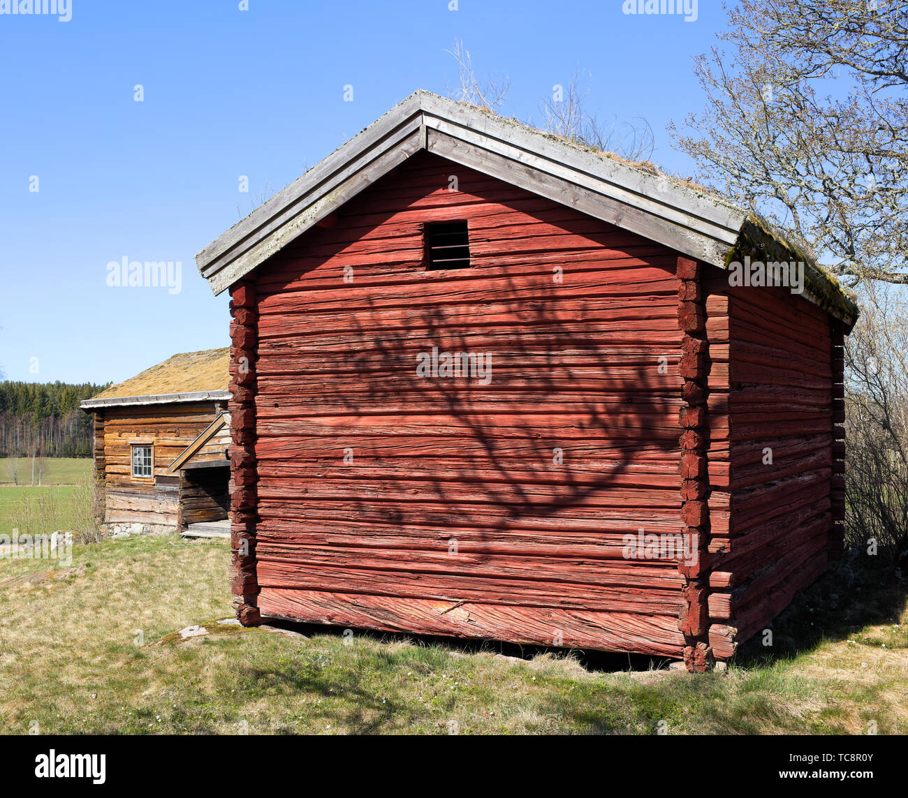 Vieille maison de bois dans la campagne près de ASKERSUND, Suède Banque D'Images