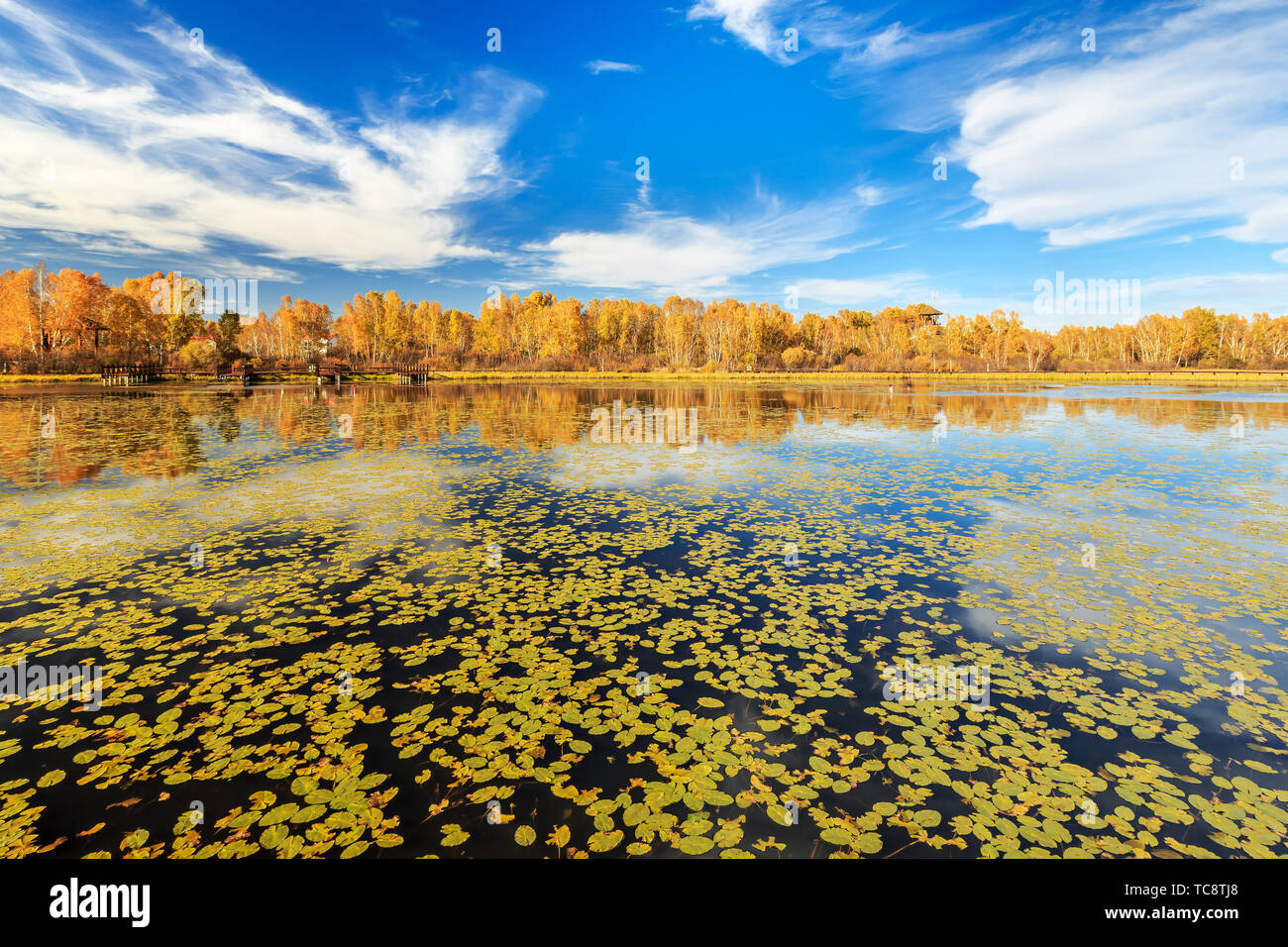 Automne couleur de soleil sur le lac du barrage de paddock Banque D'Images