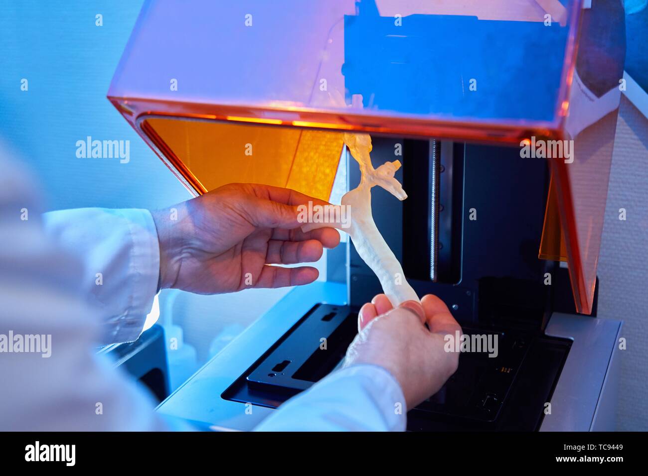 Impression 3D de la trachée d'un patient à partir d'une image médicale,  imprimante 3D, technologies d'additifs ou PolyJet FDM pour le prototypage  rapide, radiologie Photo Stock - Alamy