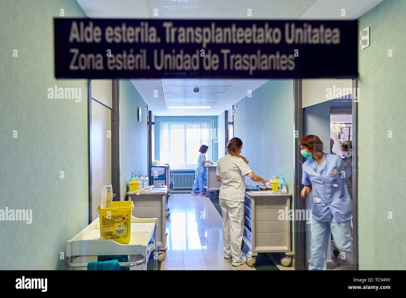 Une zone stérile, l'unité de transplantation, Hématologie, hôpital Donostia, San Sebastian, Gipuzkoa, Pays Basque, Espagne Banque D'Images