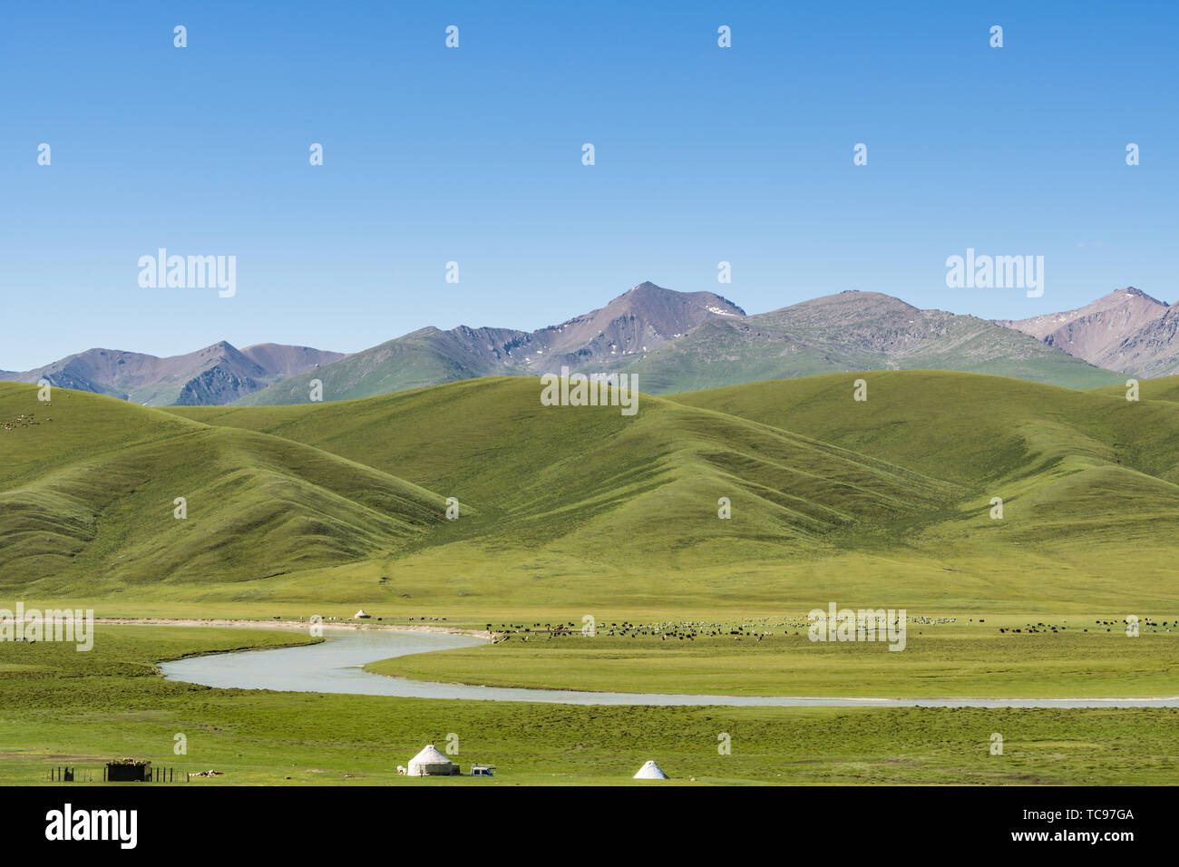 Les prairies alpines le long de la G217 Duku sous l'autoroute l'été, ciel bleu et nuages blancs dans le Xinjiang, Chine Banque D'Images