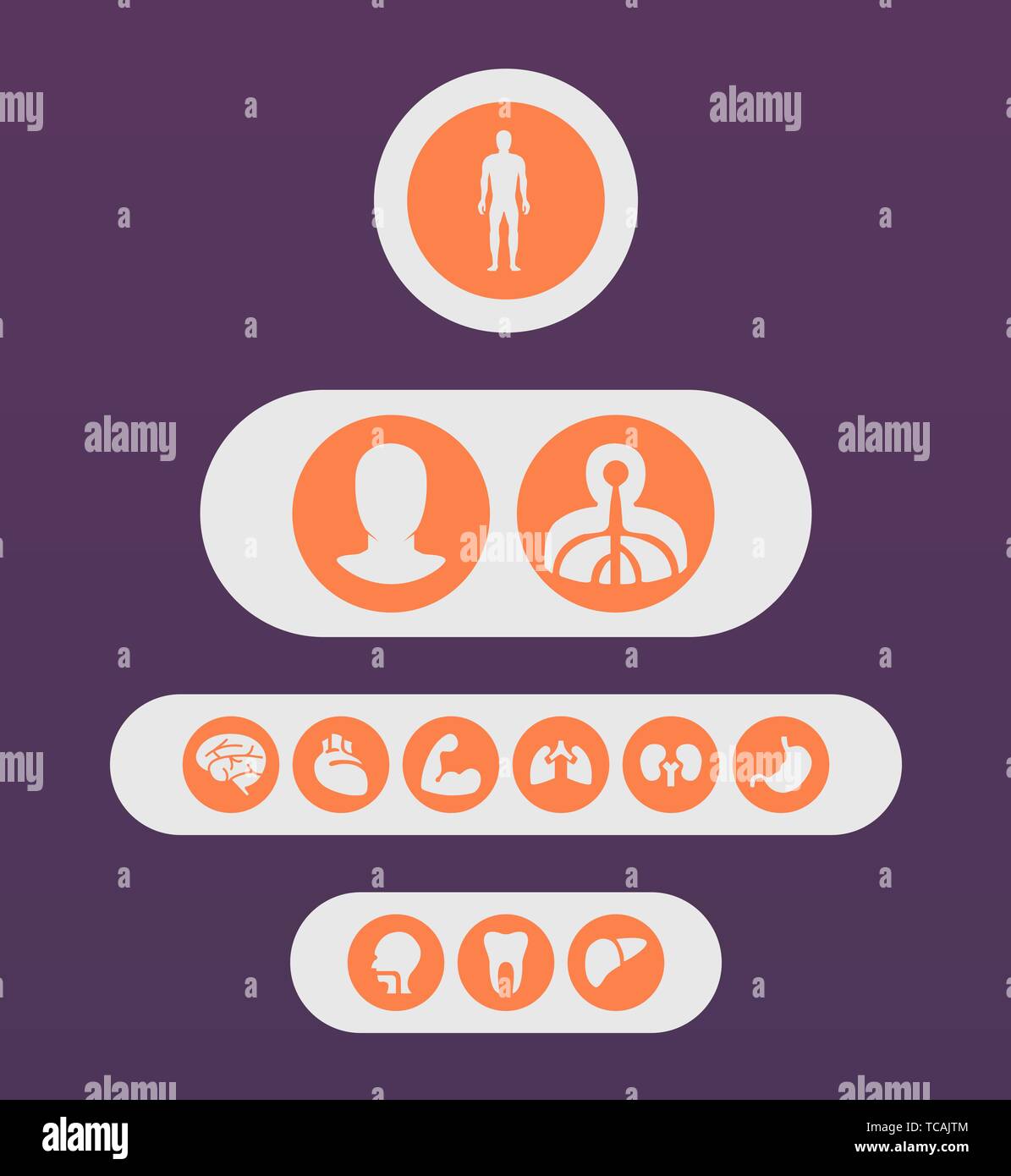 Personne, organisme, certaines parties du corps, l'anatomie des icônes Icônes colletion. Les soins de santé, l'environnement, mode de vie sain. Illustration de Vecteur