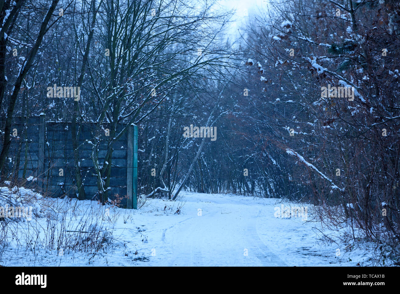 Route de l'abandon de la base de missiles antiaériens sur Devinska Kobyla près de Bratislava, Slovaquie Banque D'Images
