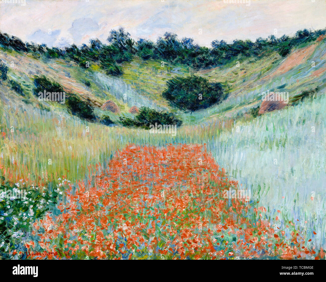 Monet, coquelicots. 'Champ de coquelicots dans un creux près de Giverny', peinture de paysage à l'huile sur toile de Claude Monet, 1885 Banque D'Images