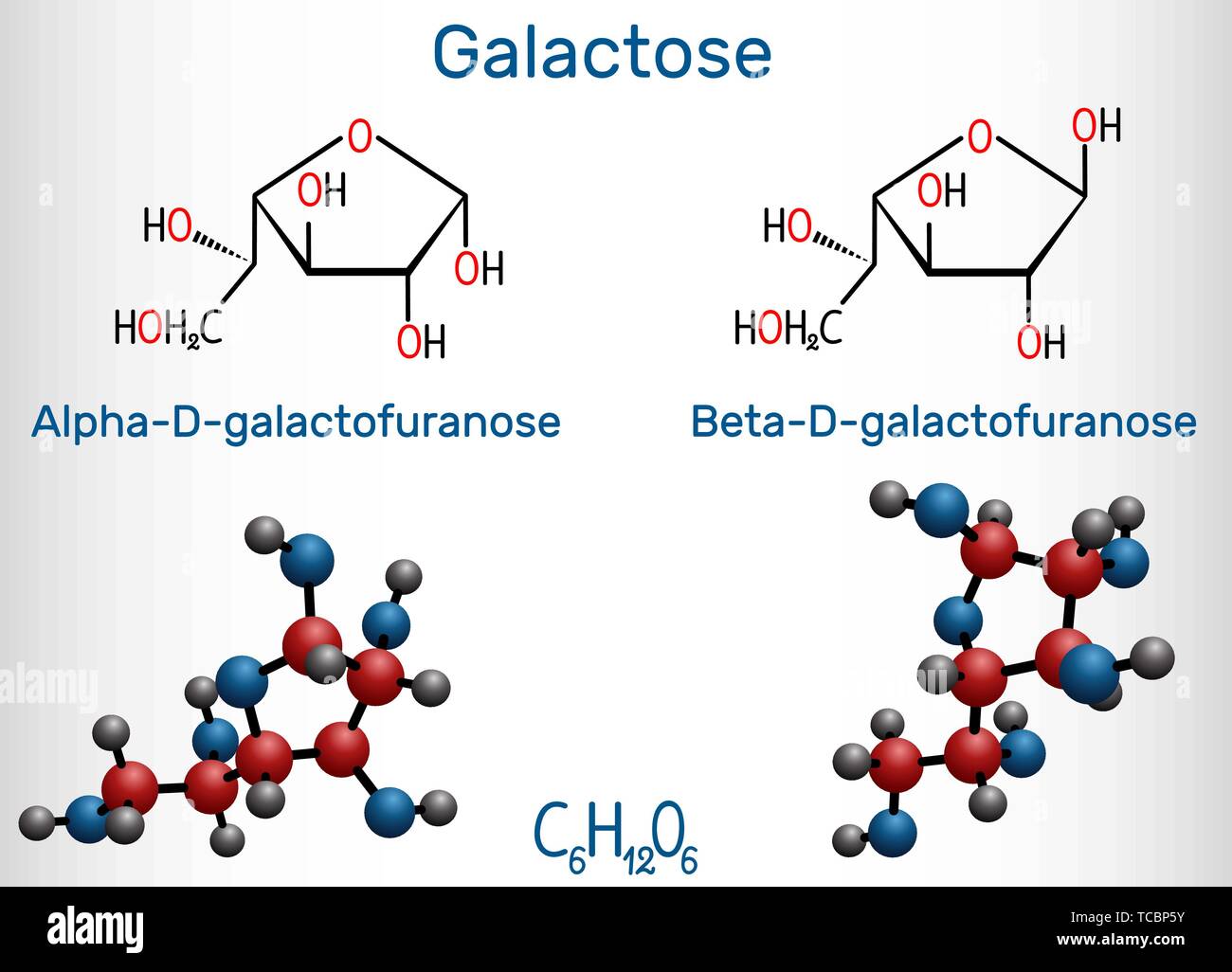 Le galactose, alpha-D-galactofuranose, beta-D- galactofuranose, molécule de sucre de lait. La forme cyclique. Formule chimique structurale et molécule modèle. Vector Illustration de Vecteur