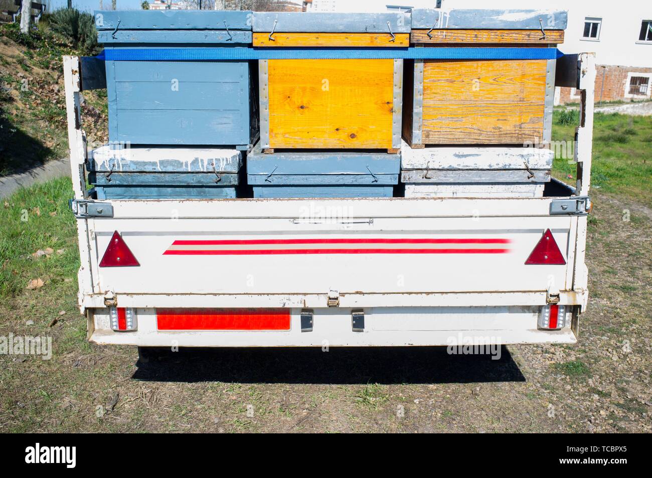 Charge de la remorque avec des ruches en bois prêt à se déplacer. Transport des animaux vivants. Banque D'Images