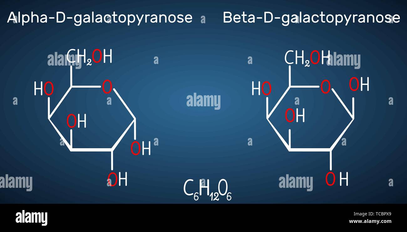 Le galactose, l'alpha-D-galactopyranose, bêta-D-galactopyranose, molécule de sucre de lait. La forme cyclique. Formule chimique structurel sur le fond bleu foncé. Illustration de Vecteur