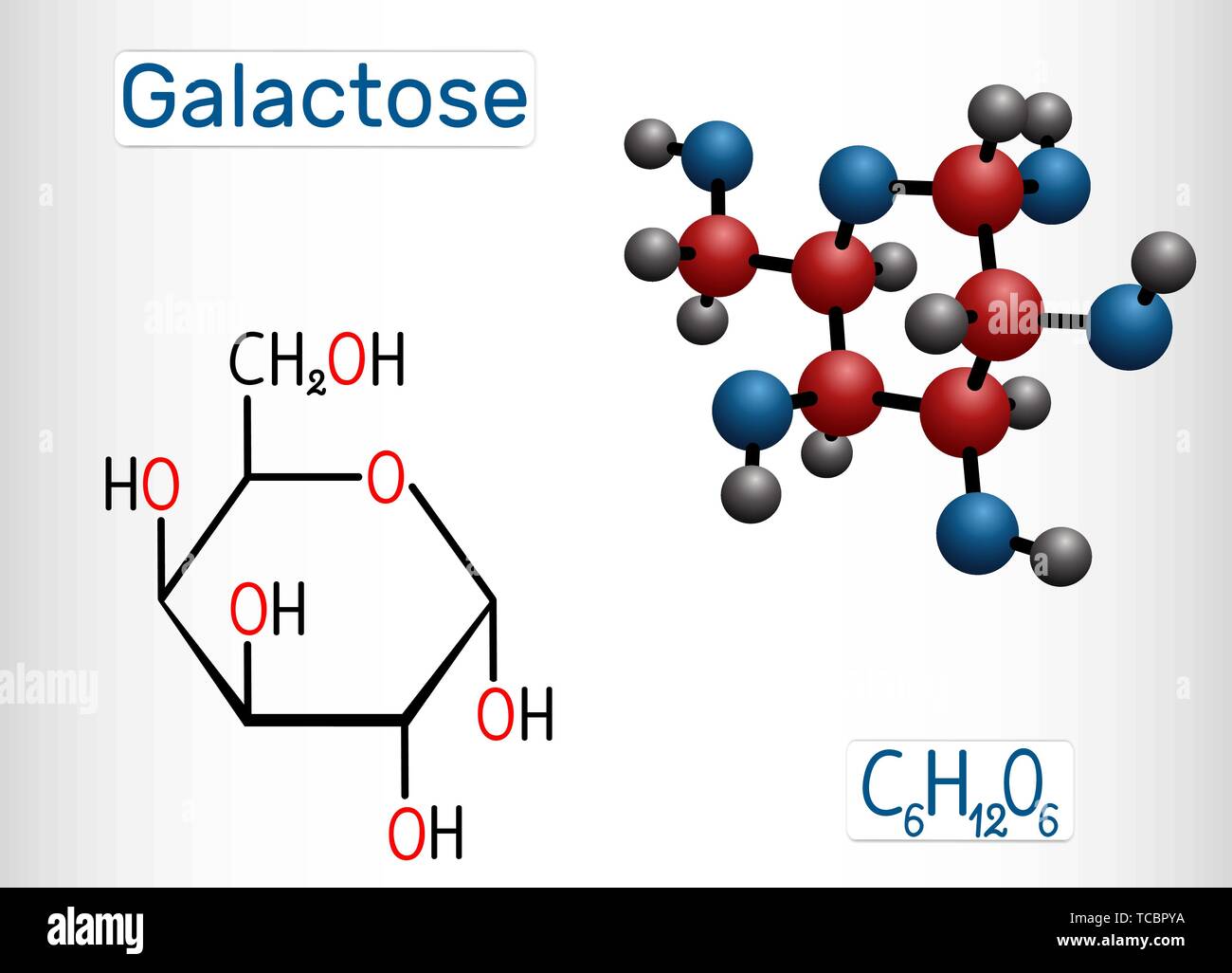 Le galactose, l'alpha-D-galactopyranose, molécule de sucre de lait. La forme cyclique. Formule chimique structurale et molécule modèle. Vector illustration Illustration de Vecteur