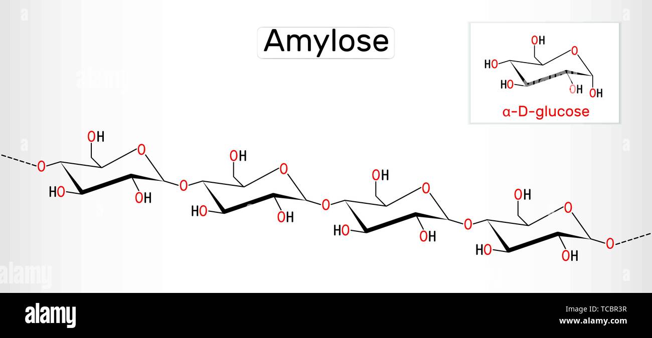 Molécule d'amylose. C'est un polysaccharide et un des deux composants de l'amidon. Formule chimique structurels. Vector illustration Illustration de Vecteur
