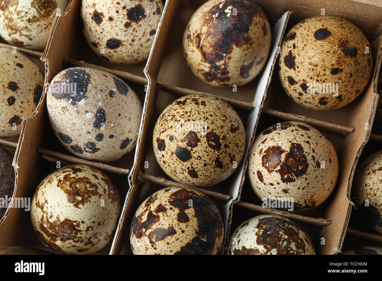 Boîte Oeuf Caille En Carton - France