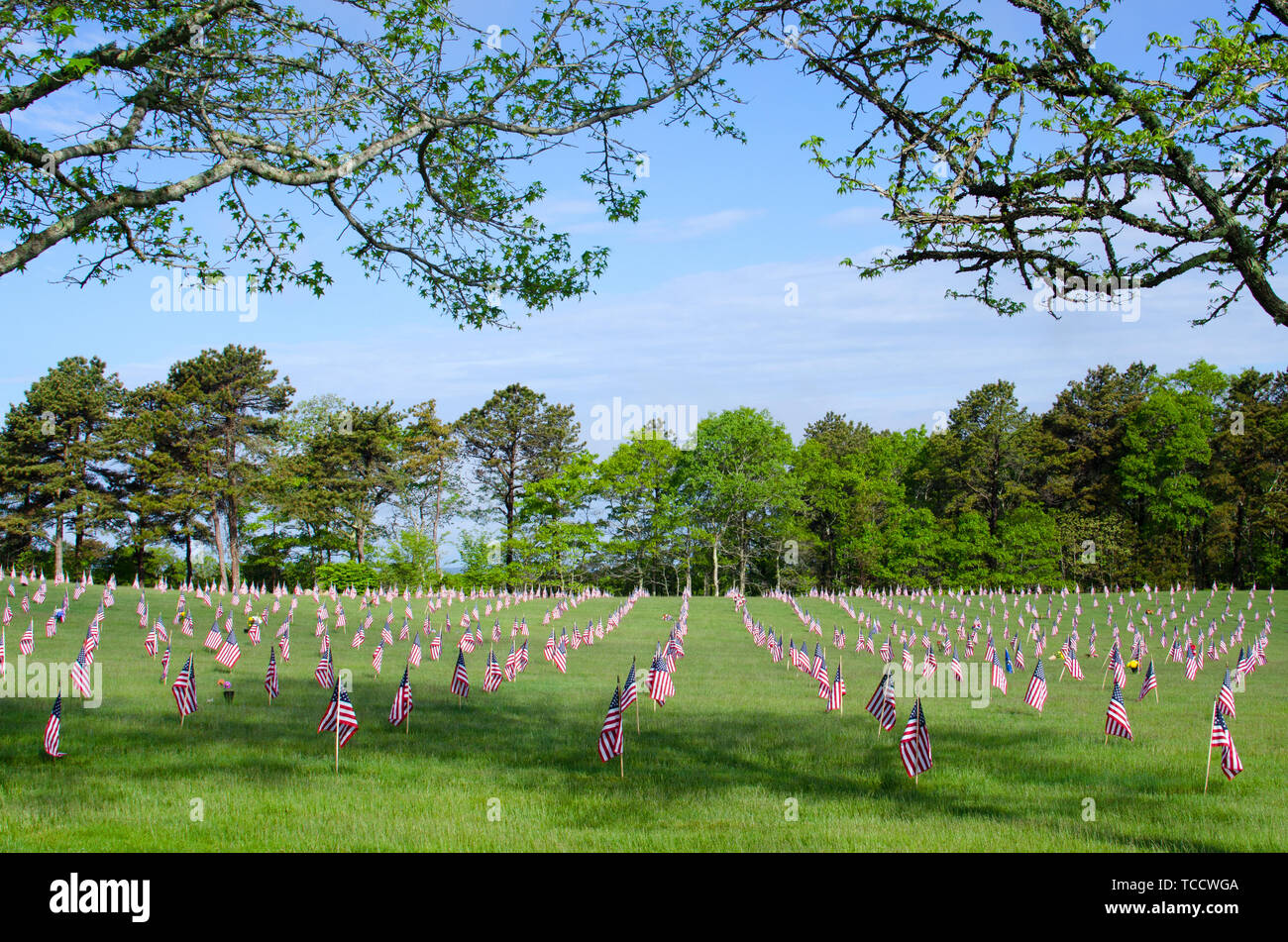 Cimetière national de Bourne, Massachusetts avec des drapeaux américains placés sur chaque pierre tombale pour Memorial Day encadrée par les branches d'arbres avec feuilles Banque D'Images