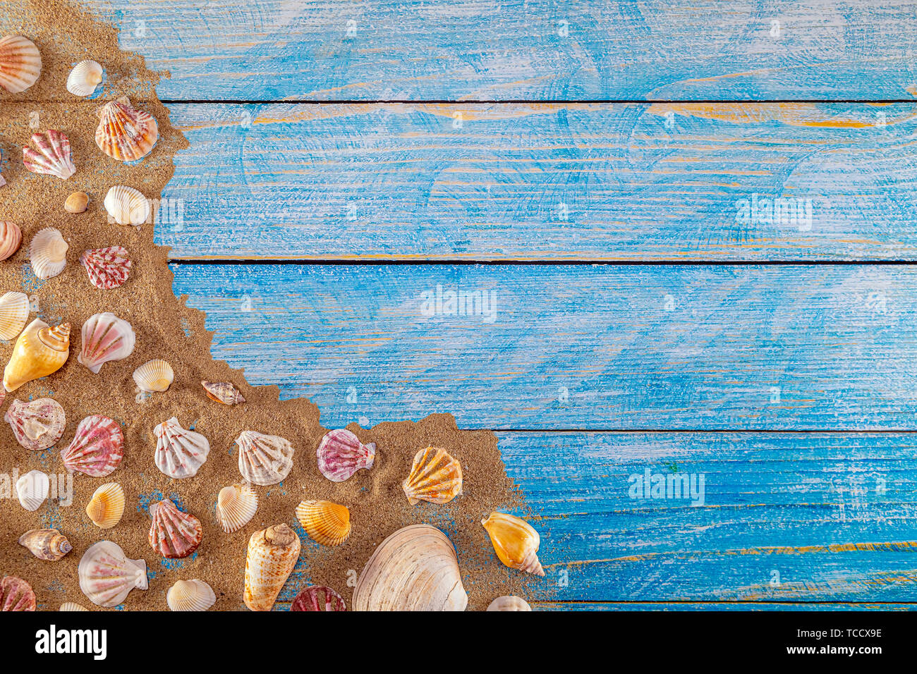 Concept de l'heure d'été avec des coquillages sur un fond en bois bleu et le sable. Les coquillages cadre sur fond de bois frontière nautique. Se concentrer sur les coquillages. Banque D'Images