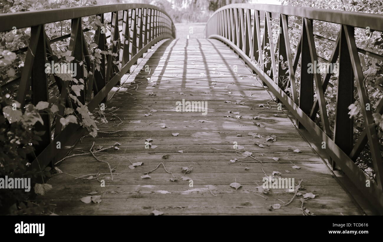 Voir l'ensemble du chemin de pont avec pied en bois et des tons violet brun subtil Banque D'Images