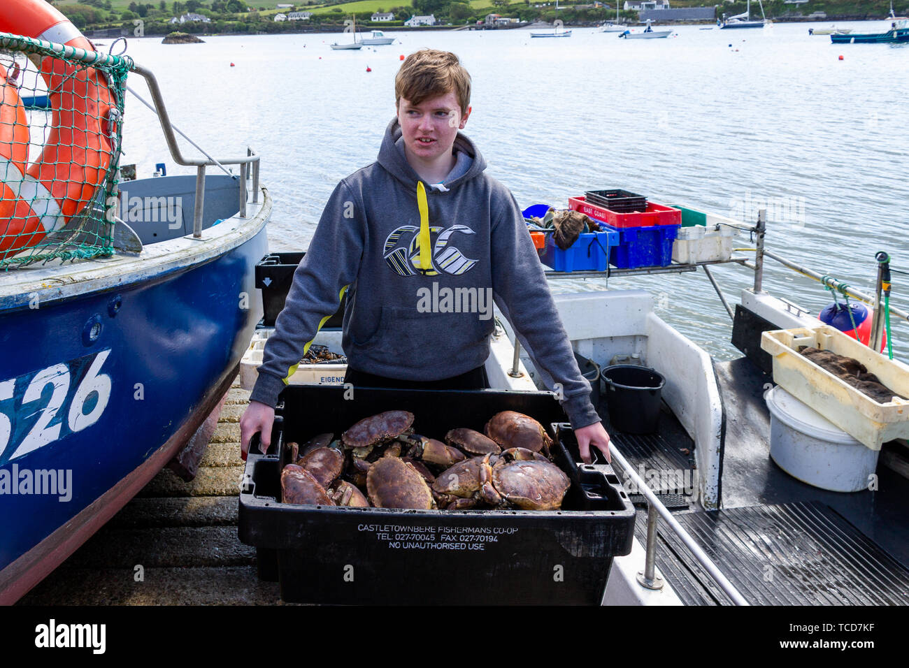 Jeune pêcheur de crabe avec ses prises de crabe Cancer pagurus brun Banque D'Images