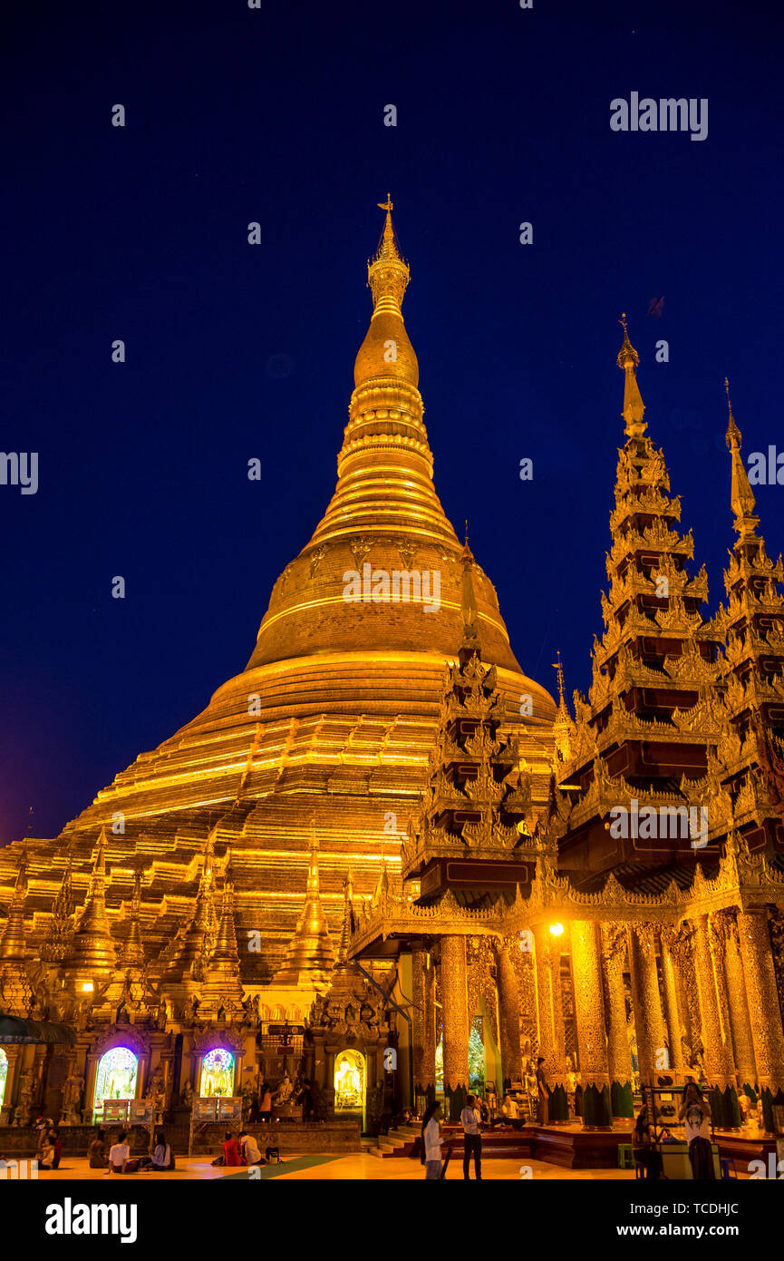 Pagode Shwedagon à Yangon, Myanmar Banque D'Images