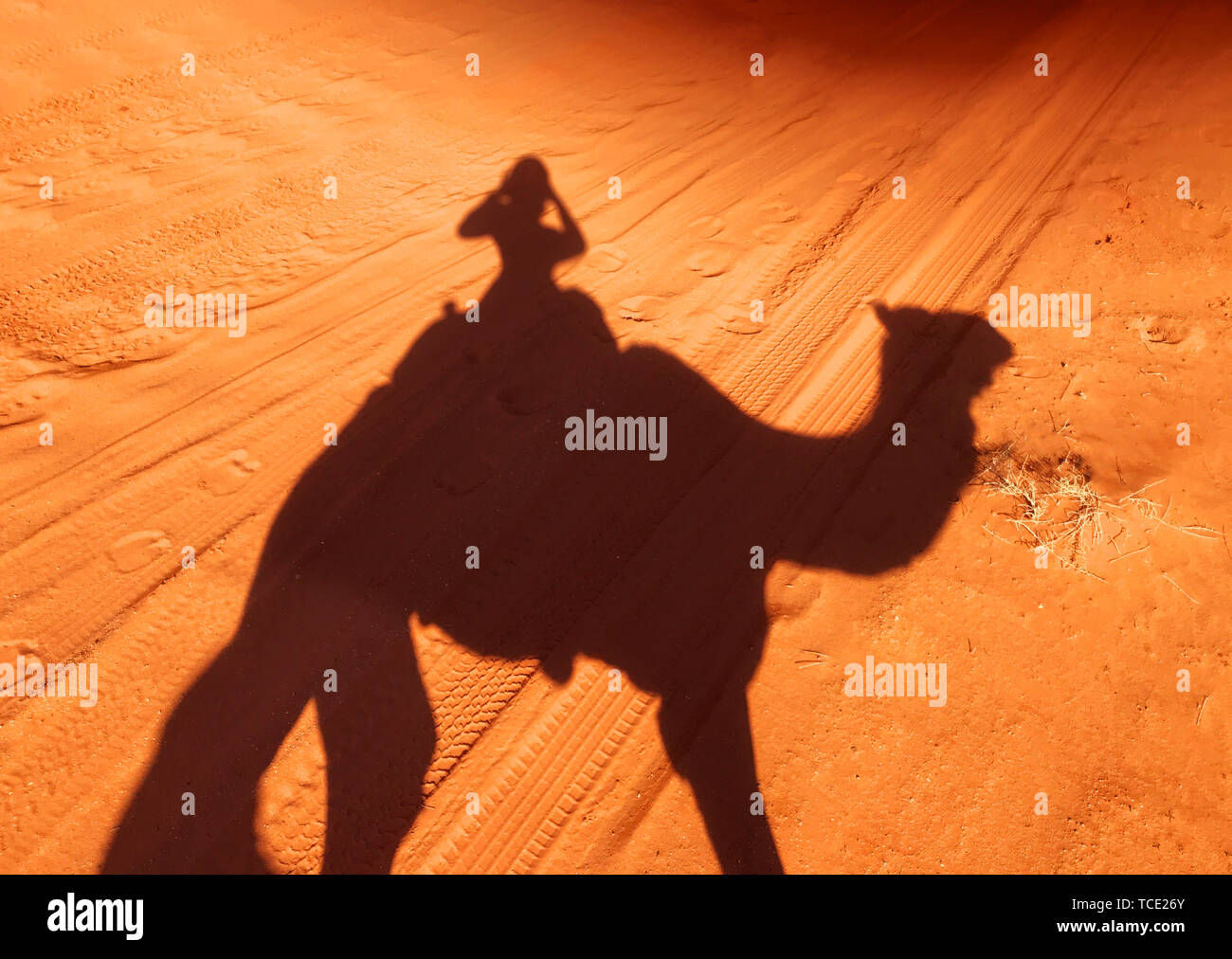 Ombre de femme assise sur la prise d'une photo de chameau, Jordanie Banque D'Images