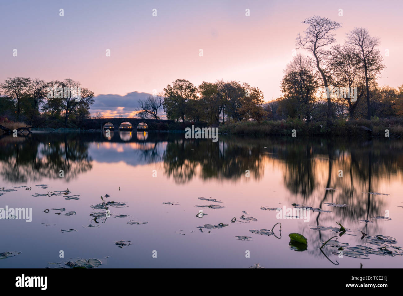 Le Jardin d'Osaka, Jackson Park, Chicago, Illinois, United States Banque D'Images