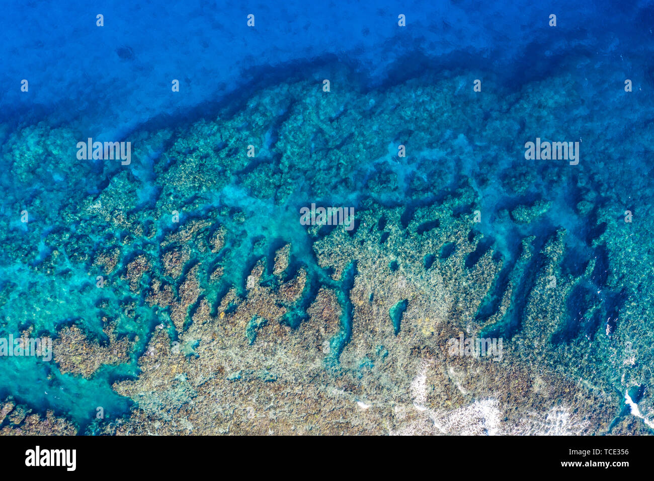 Vue aérienne d'une barrière de corail, Australie Banque D'Images