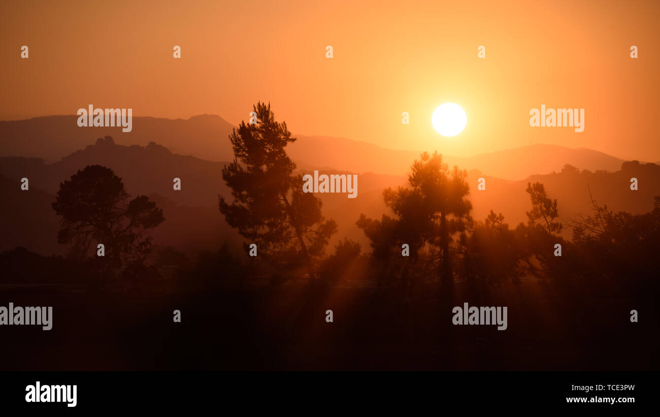 Les arbres de montagne coucher du soleil Banque D'Images