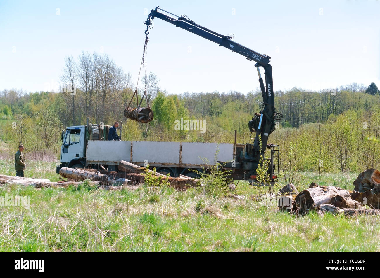 Chargement des grumes sur le chariot, grue de chargement de bois, région de Kaliningrad, Russie, le 1 mai, 2019 Banque D'Images