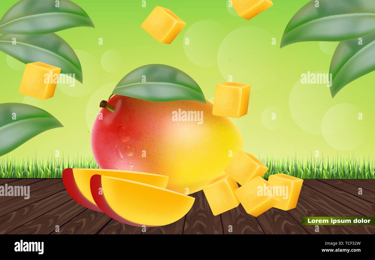Les mangues tranches de Vector réaliste. Détail des éléments de conception. 3d illustration Illustration de Vecteur