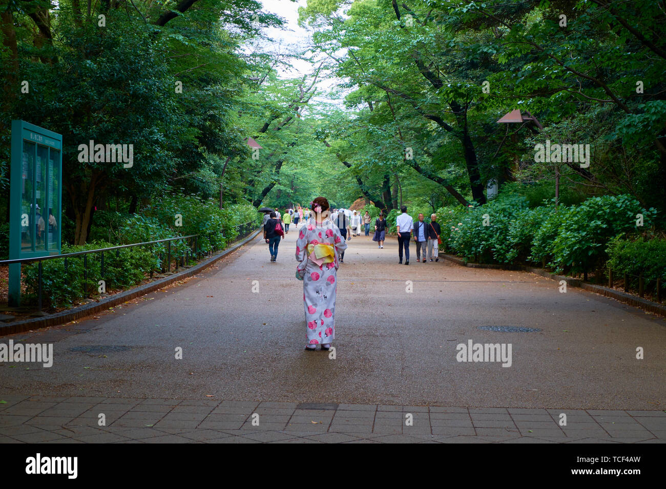 Femmes vêtues de kimono, Geisha tenues appréciant Ueno Onshi Park à Tokyo, Japon. Banque D'Images