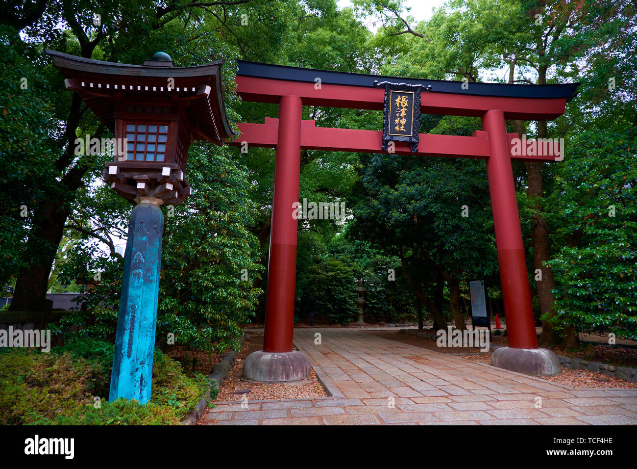 Le grand, rouge entrée Tori sanctuaire Nezu à Tokyo, Japon. Banque D'Images