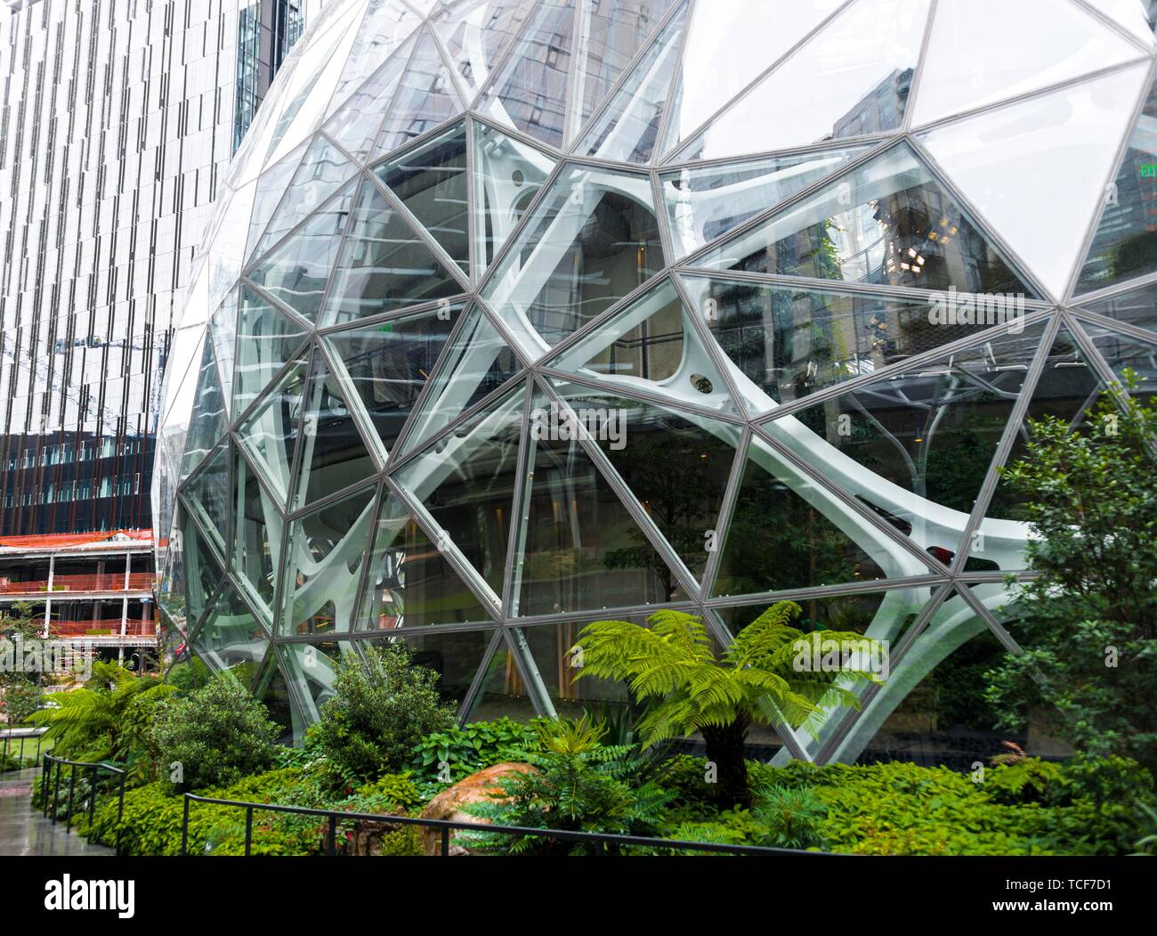 Espace vert devant un immeuble de bureaux modernes de Amazon, Amazon, sphères Les sphères, Seattle, Washington, USA, Amérique du Nord Banque D'Images