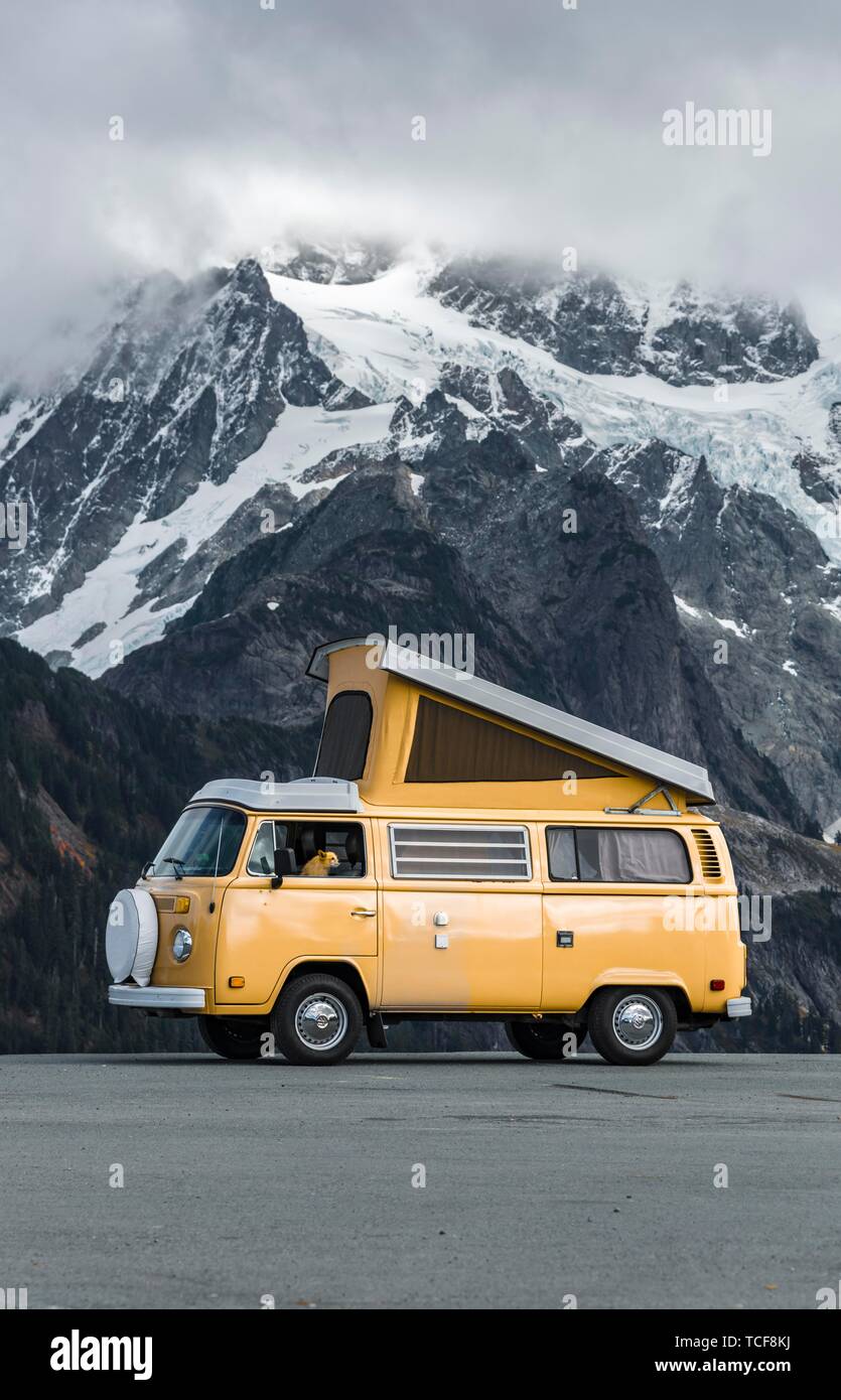 Chien regardant par la fenêtre, de vieux bus VW T2 avec toit escamotable, Oldtimer, camping car en face de paysage de montagne, Mont Shuksan, Artist Point, Washin Banque D'Images