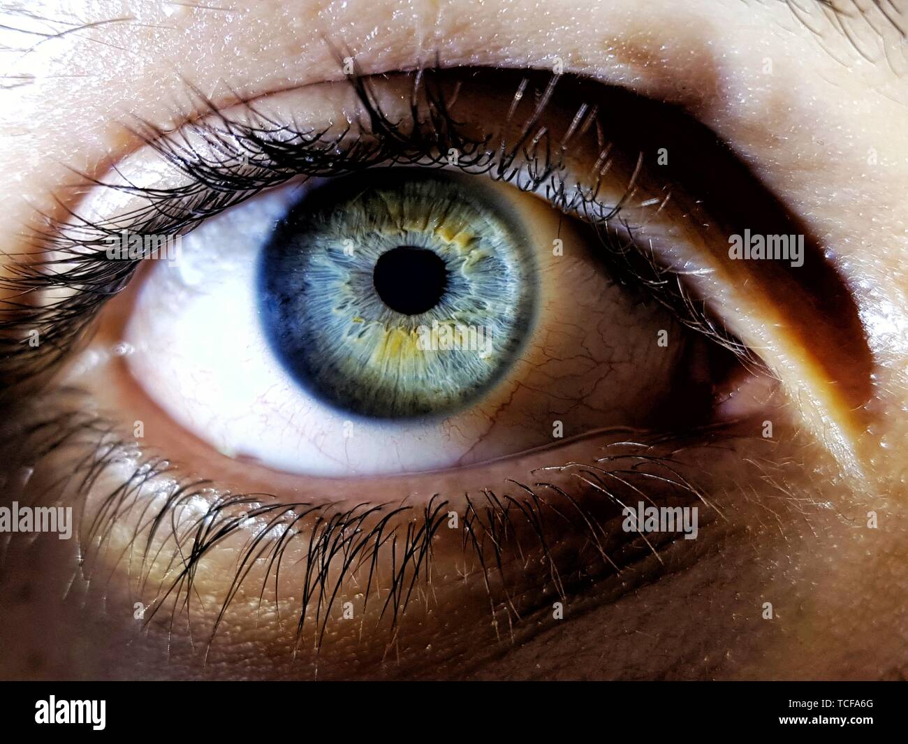 Belle photo de gros plan des yeux bleu profond d'une femme Banque D'Images