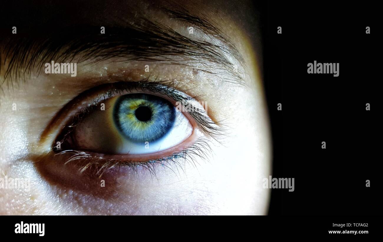 Belle photo de gros plan des yeux bleu profond d'une femme Banque D'Images