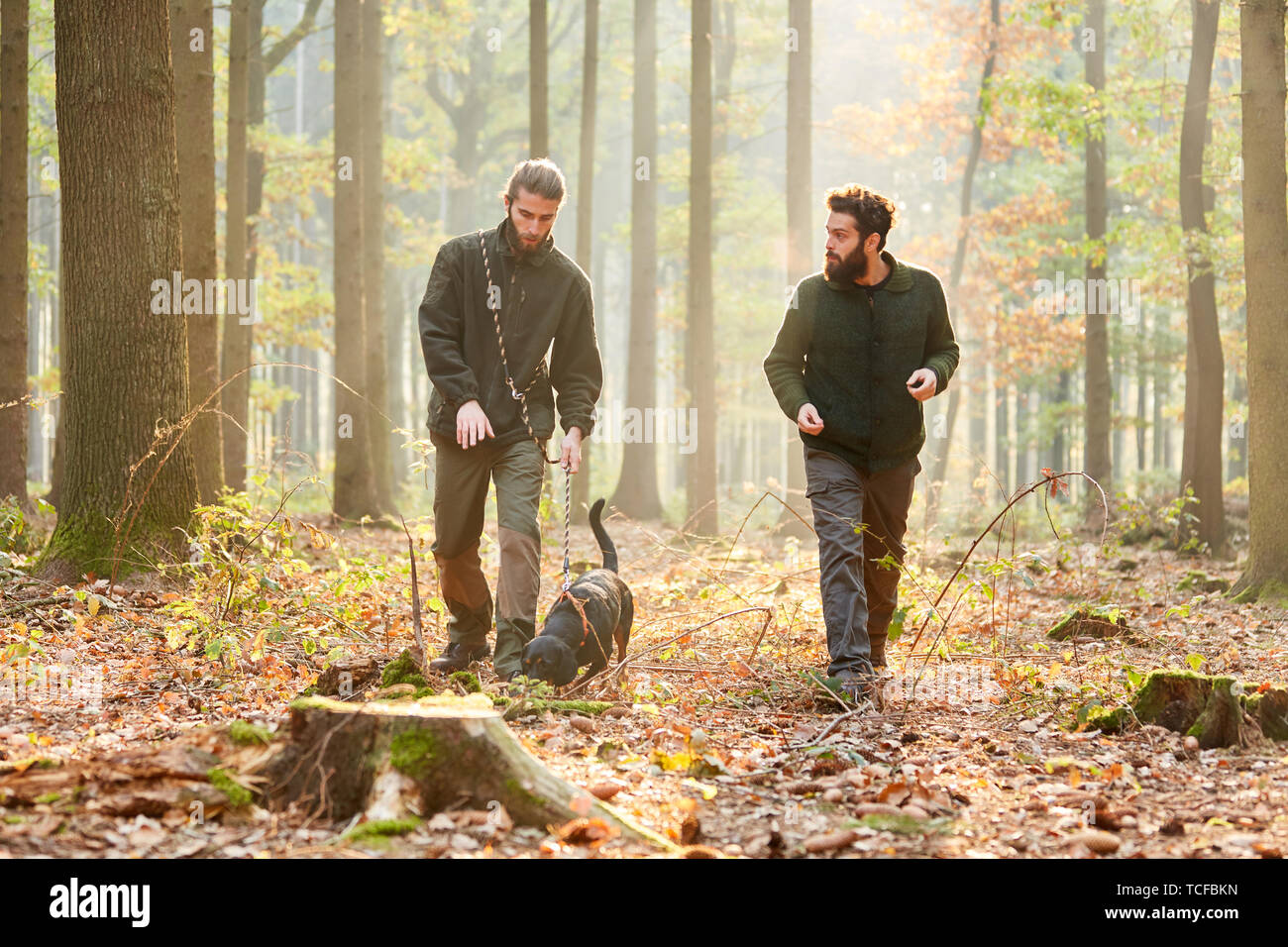 Deux chasseurs ou les forestiers avec un chien comme un chien de chasse sur une promenade dans la forêt Banque D'Images